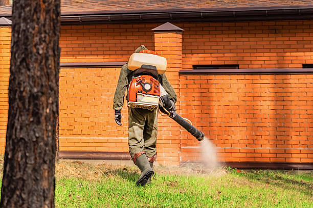 Trusted Bed Bug Control service in Grant City, MO - Nex Pest Control